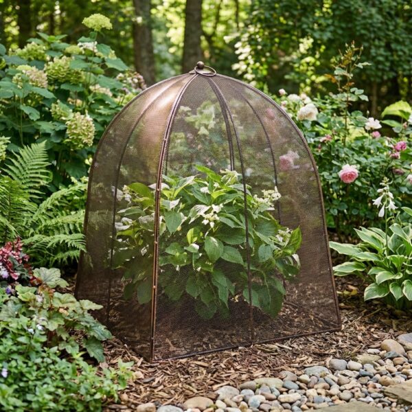 Classic Cloche - Sproutwell Decor